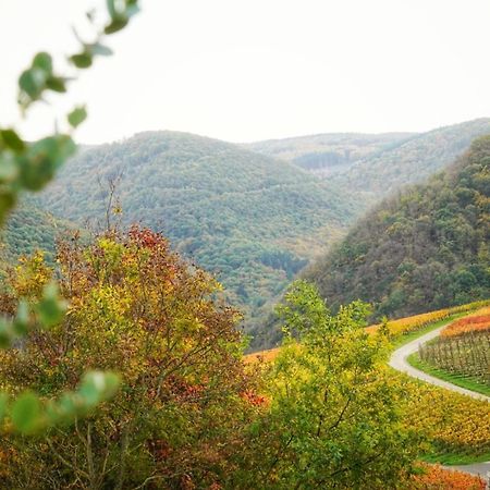 Foersters Weinterrassen Daire Bad Neuenahr-Ahrweiler Dış mekan fotoğraf