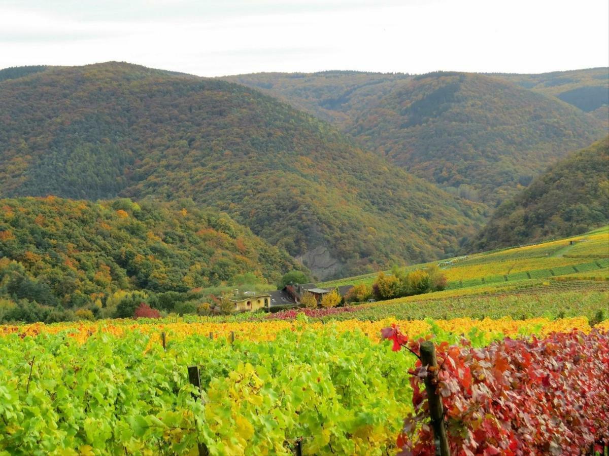 Foersters Weinterrassen Daire Bad Neuenahr-Ahrweiler Dış mekan fotoğraf